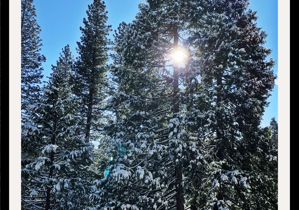 Photo of Others in Cold Springs