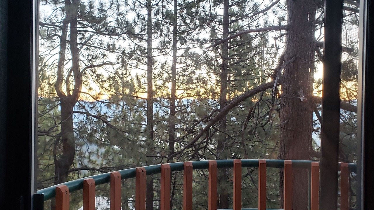 Photo of Others in Tahoe Village