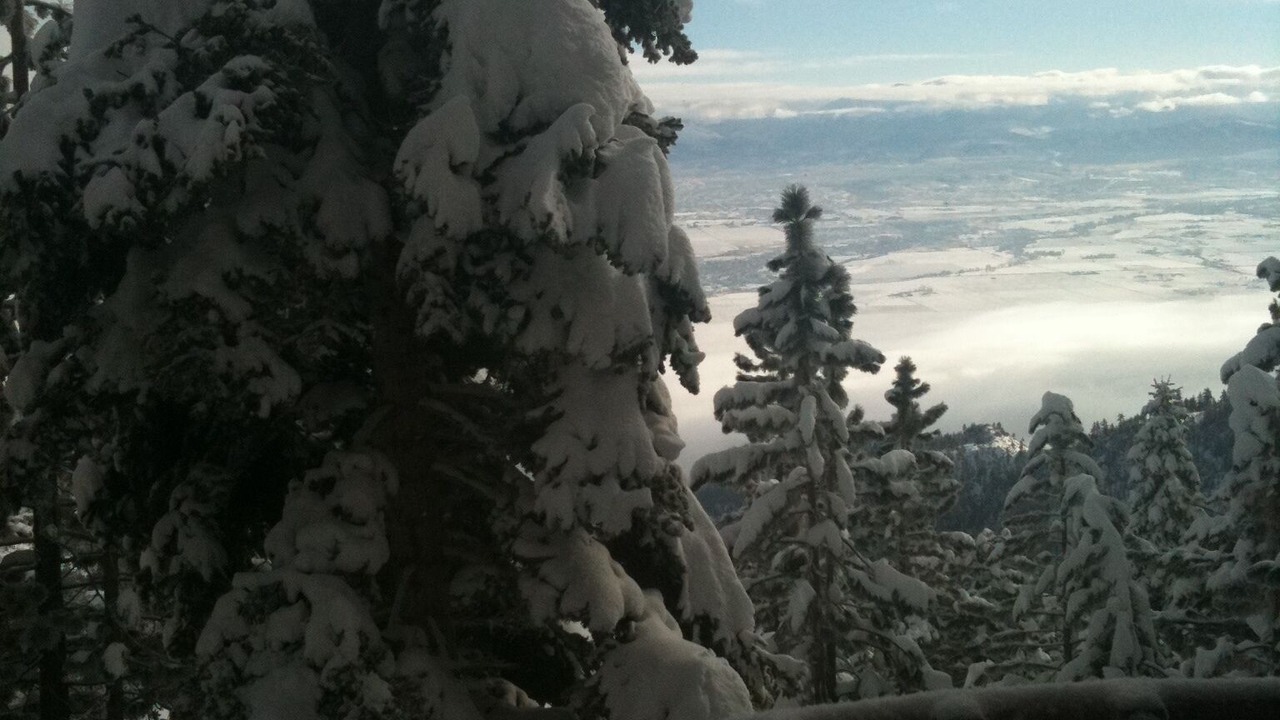 Photo of Others in Tahoe Village