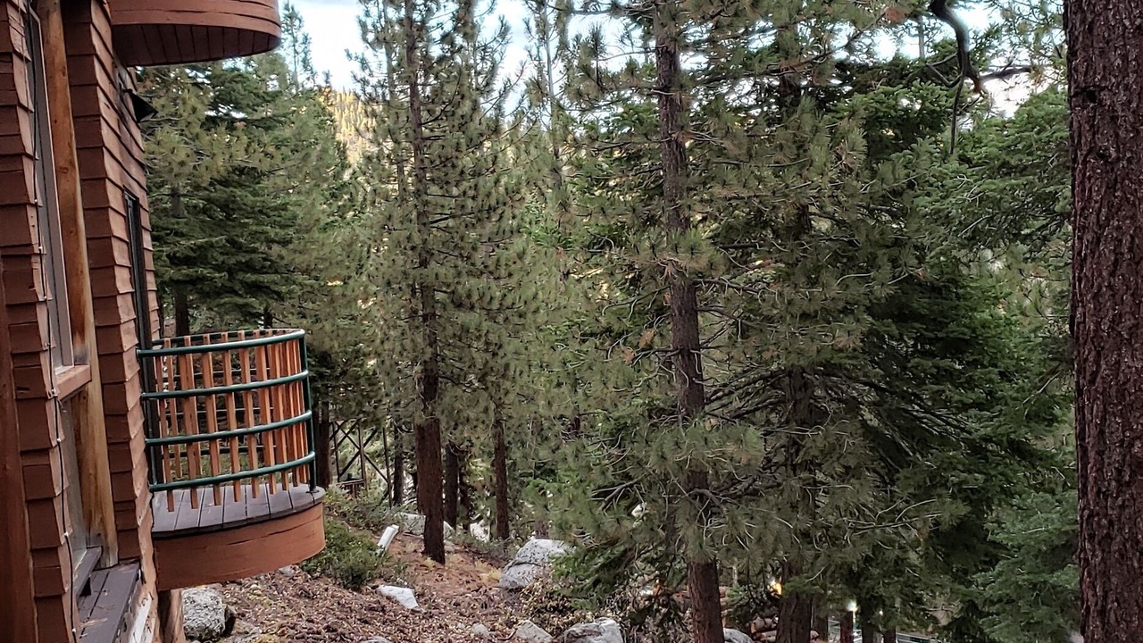 Photo of Outdoor in Tahoe Village