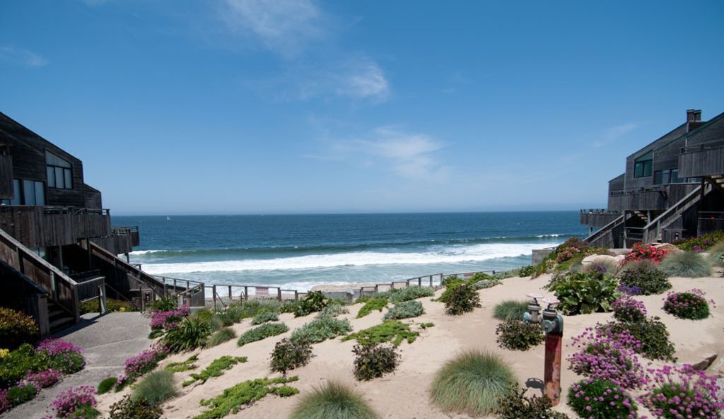 Photo of Others in Monterey