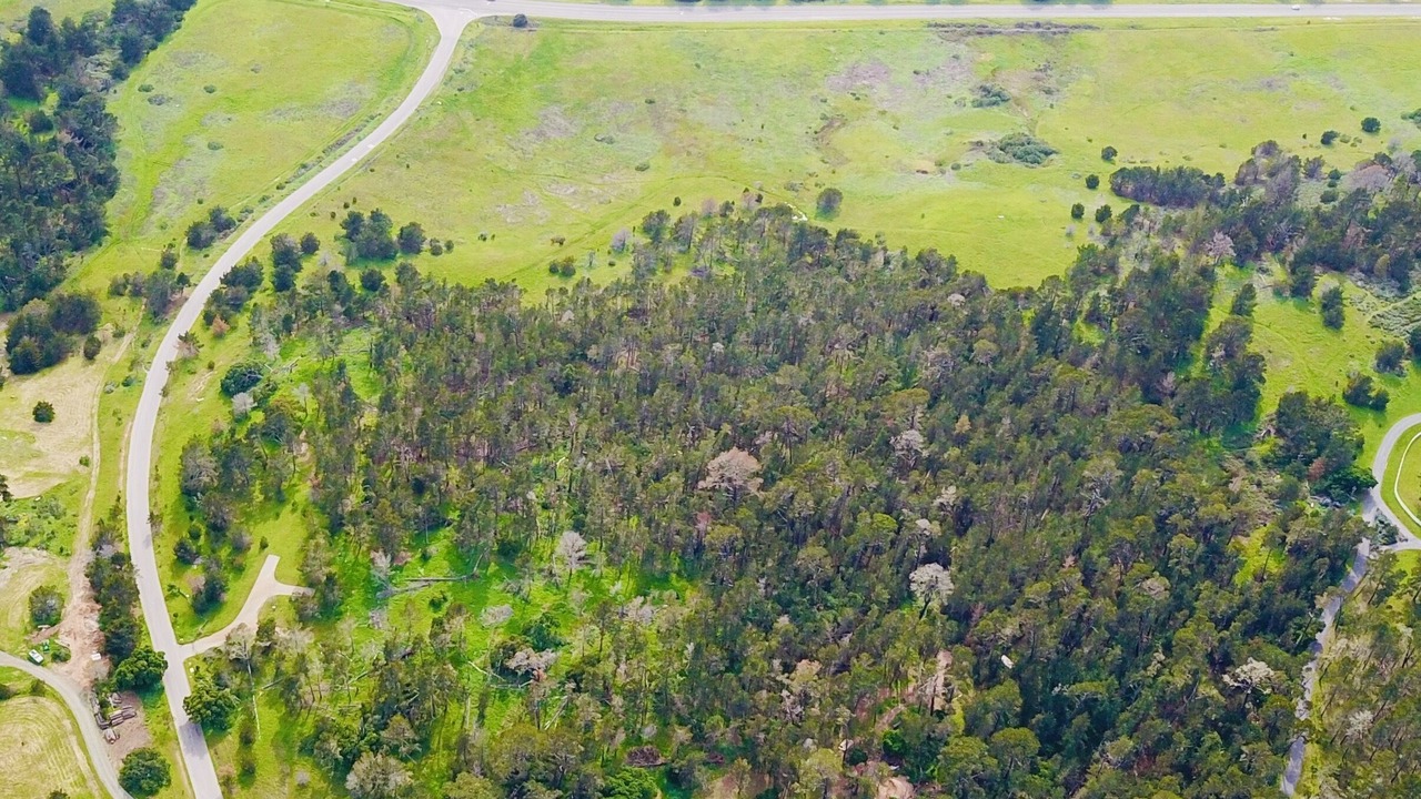 Photo of Others in Happy Hill