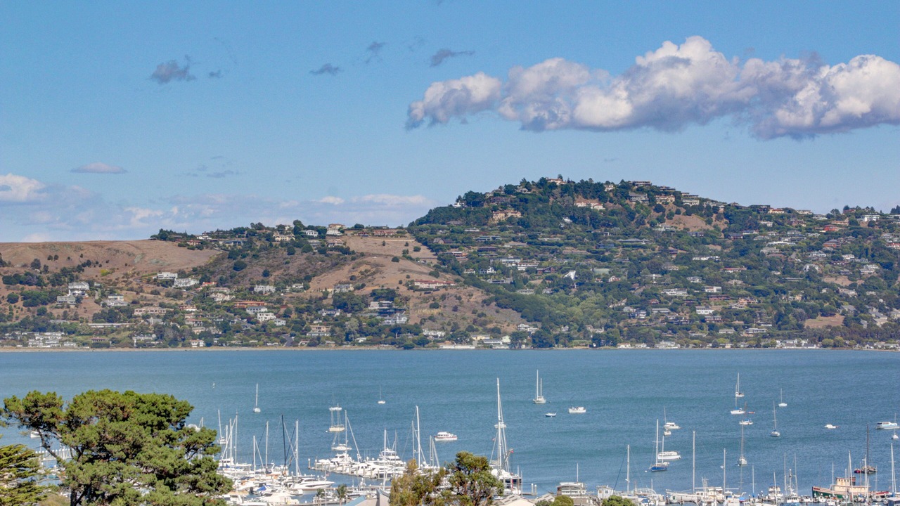 Photo of Others in Marin City