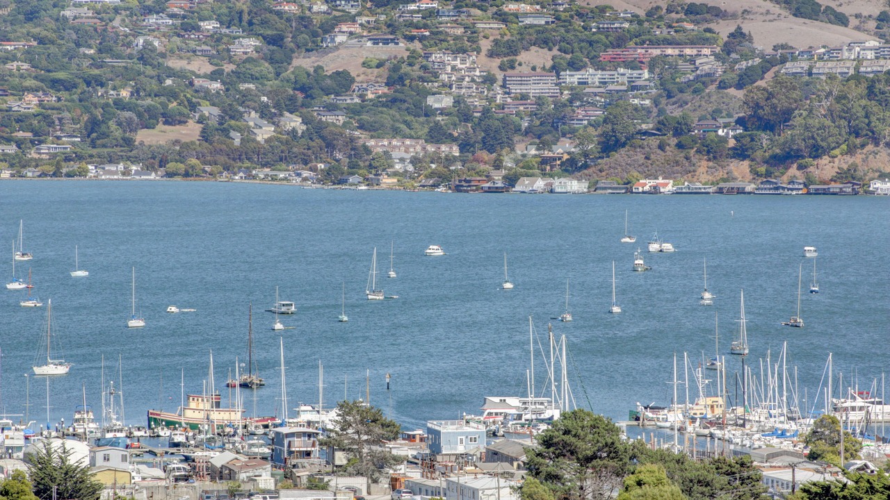 Photo of Others in Marin City