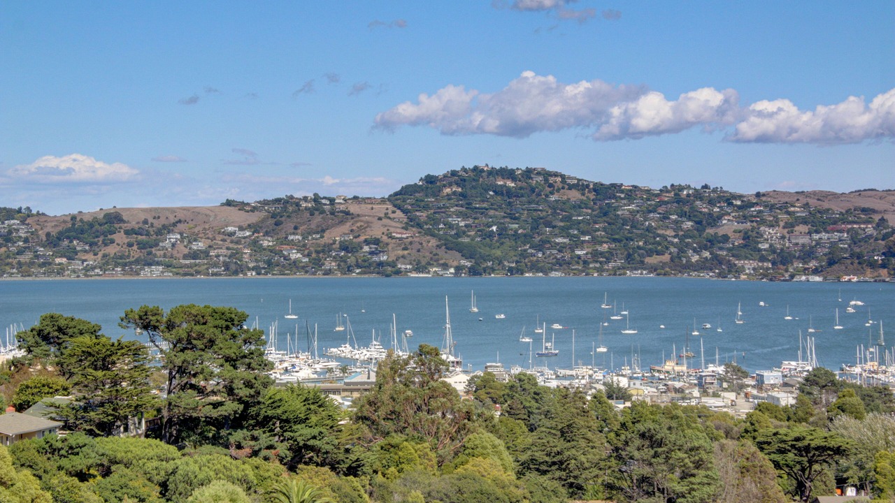 Photo of Outdoor in Marin City