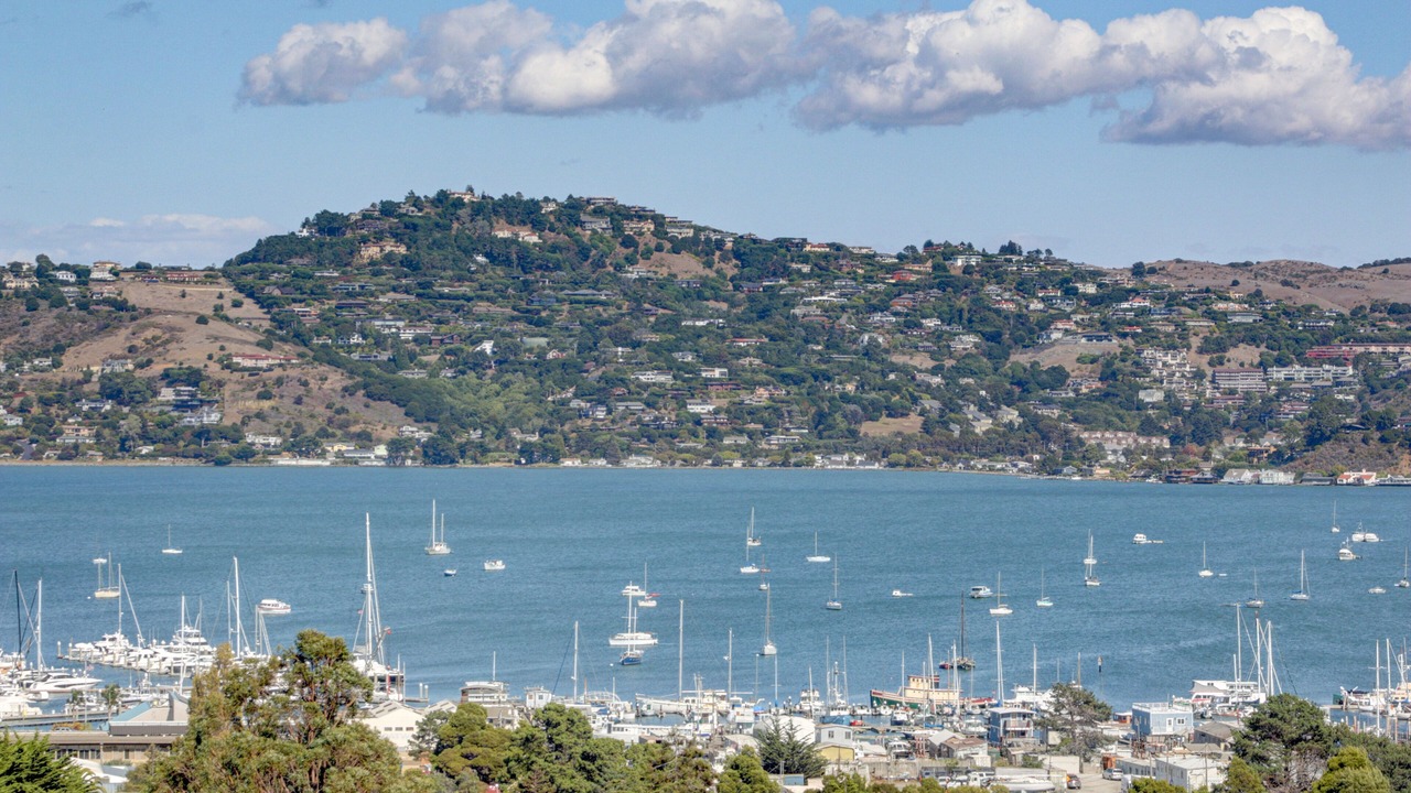 Photo of Others in Marin City
