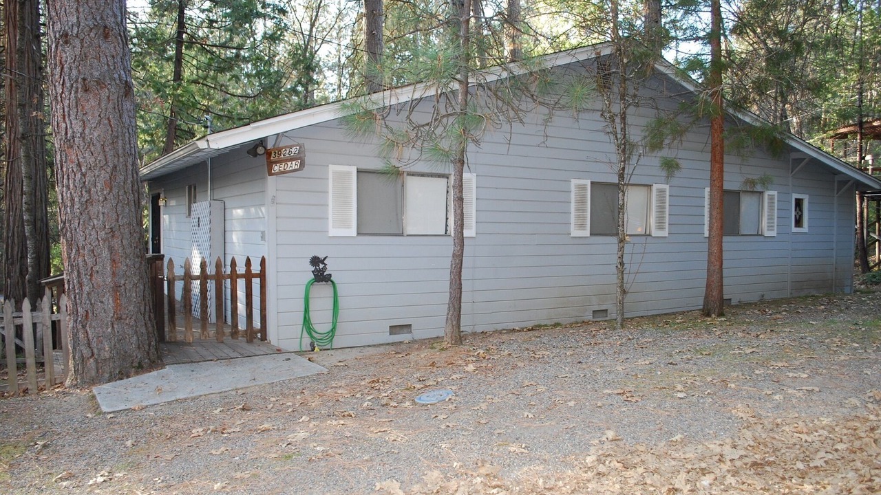 Photo of Outdoor in Bass Lake