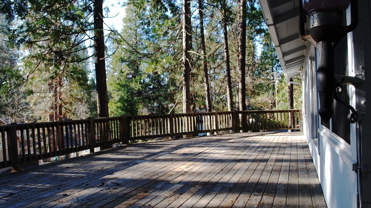 Photo of Outdoor in Bass Lake