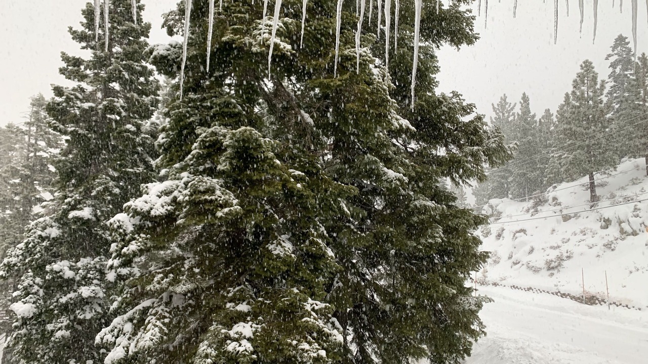 Photo of Others in Tahoe Village