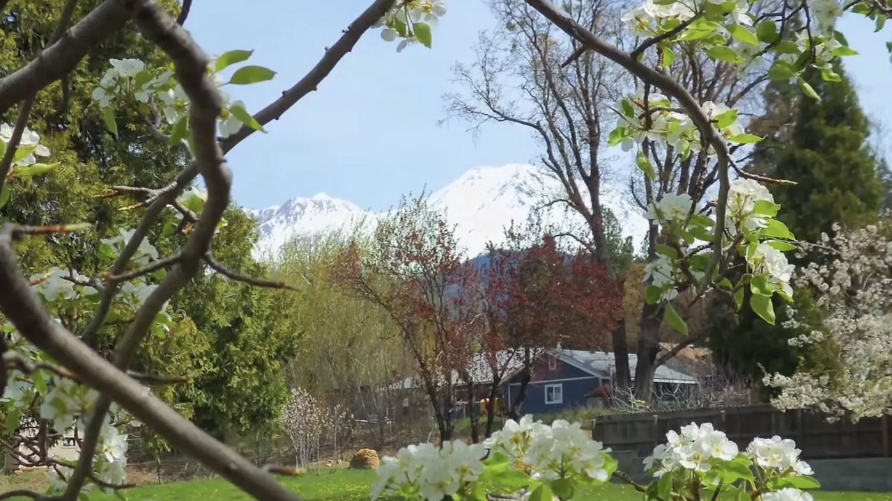 Photo of Outdoor in Mount Shasta