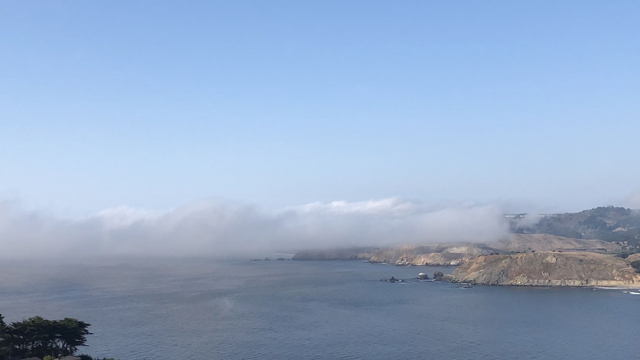 Photo of Others in Pacifica
