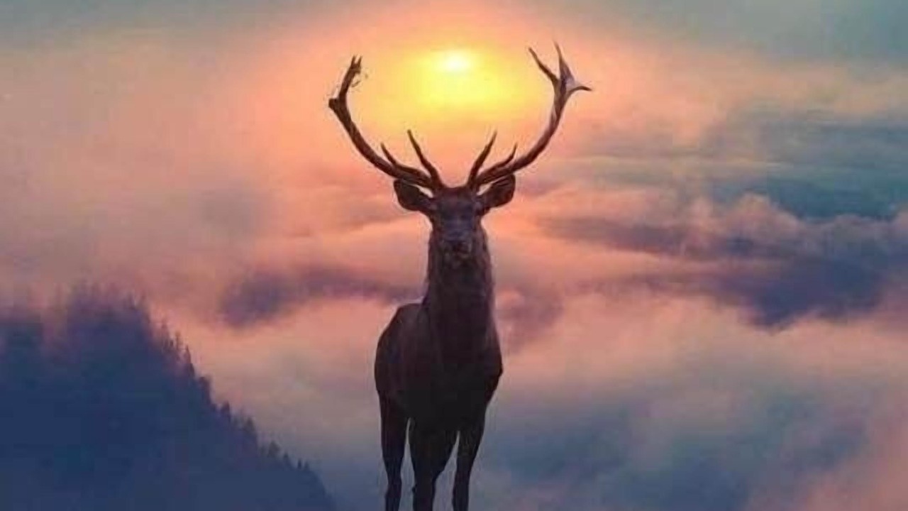 Photo of Others in Cascade