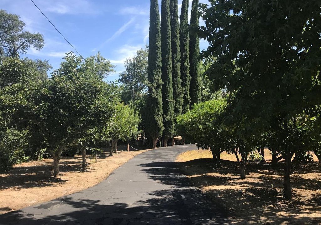 Photo of Outdoor in Three Rivers