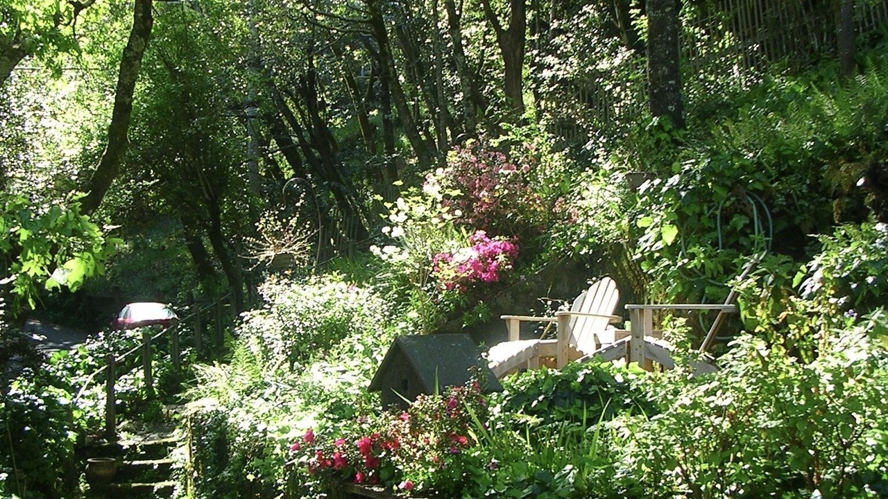 Photo of Outdoor in Fairfax