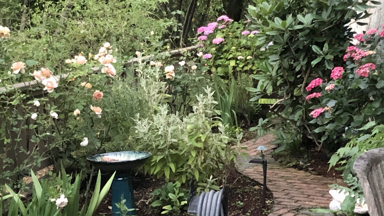 Photo of Outdoor in Fairfax