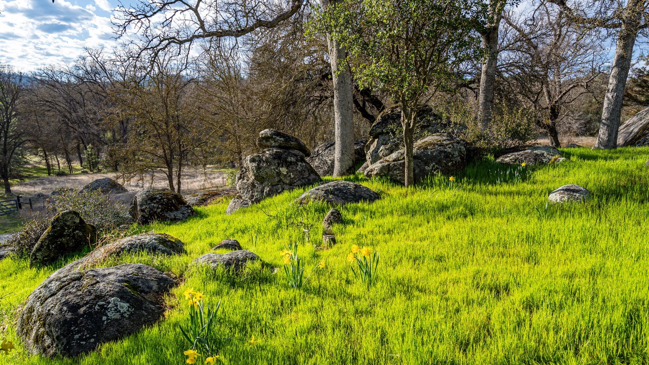 Photo of Outdoor in Oakhurst