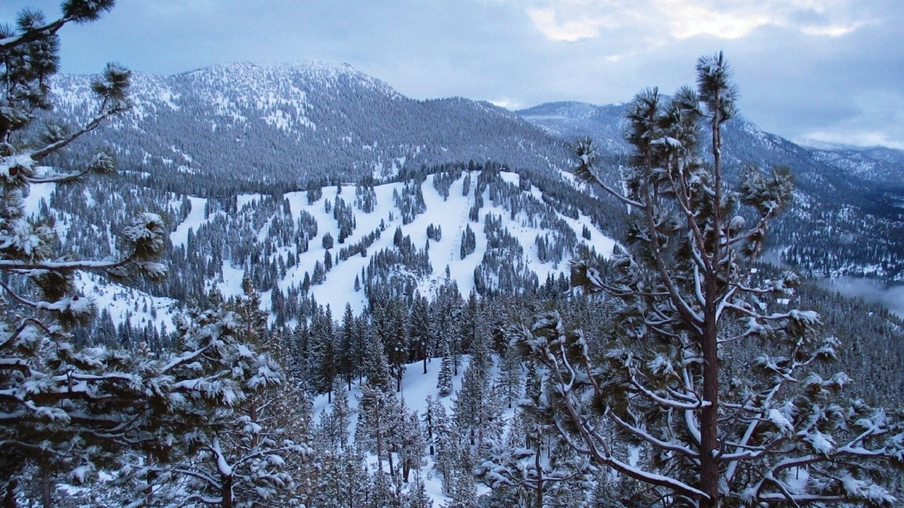 Photo of Others in Tahoe Village