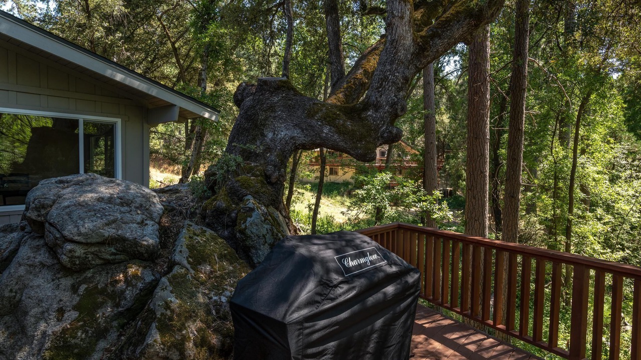 Photo of Outdoor in Yosemite Forks