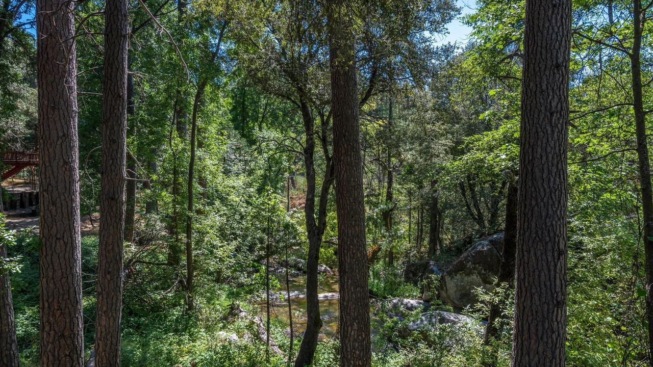 Photo of Outdoor in Yosemite Forks