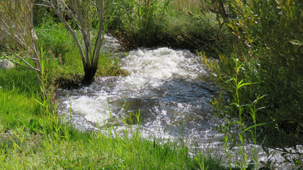 Photo of Outdoor in Dyer