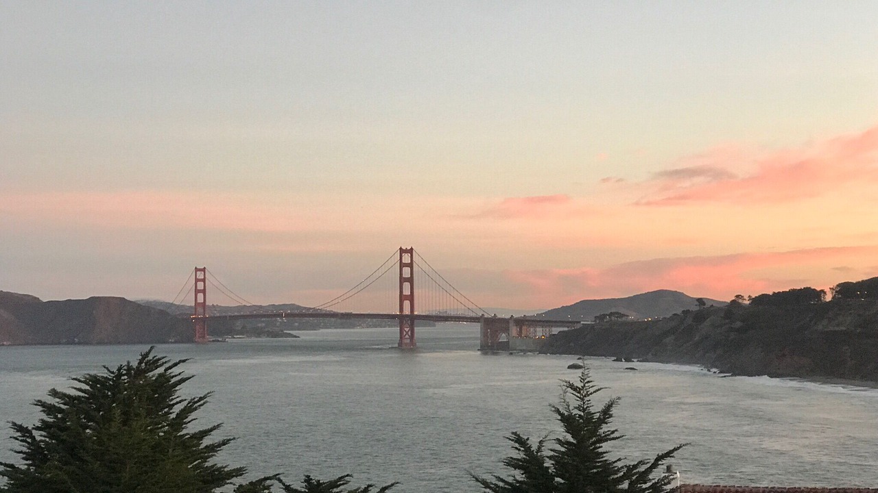 Photo of Others in Sea Cliff