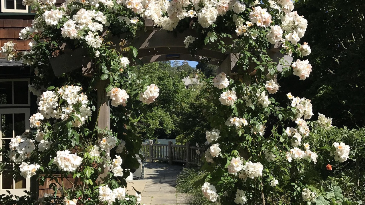 Photo of Outdoor in San Anselmo
