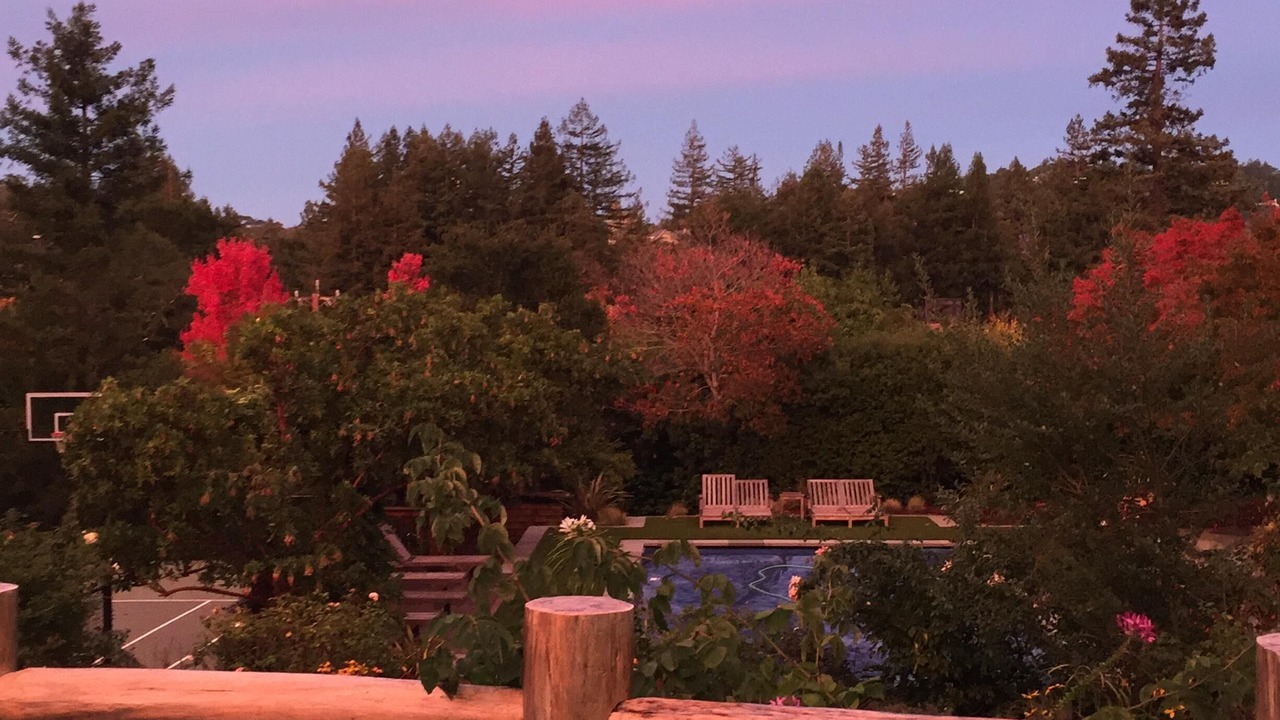 Photo of Outdoor in San Anselmo