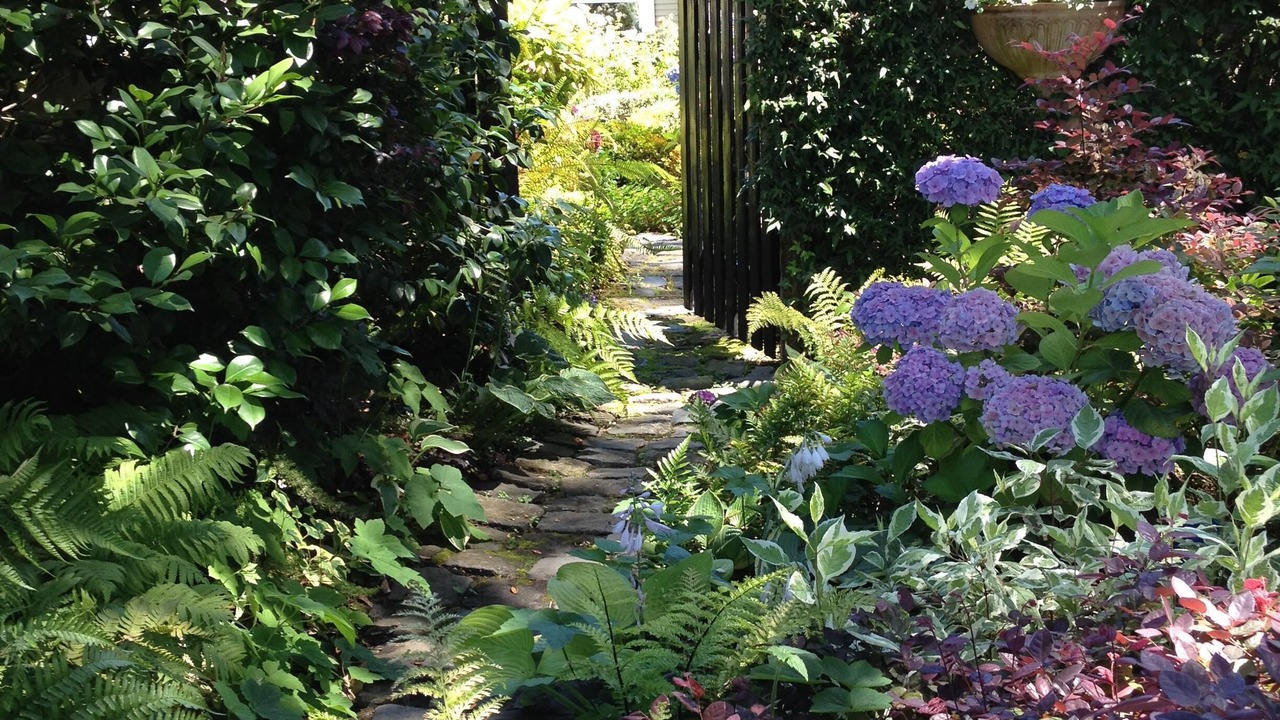 Photo of Outdoor in West Atherton