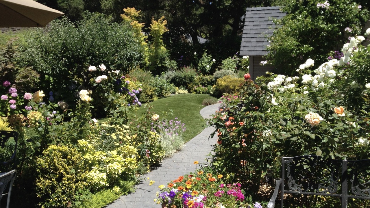 Photo of Outdoor in West Atherton