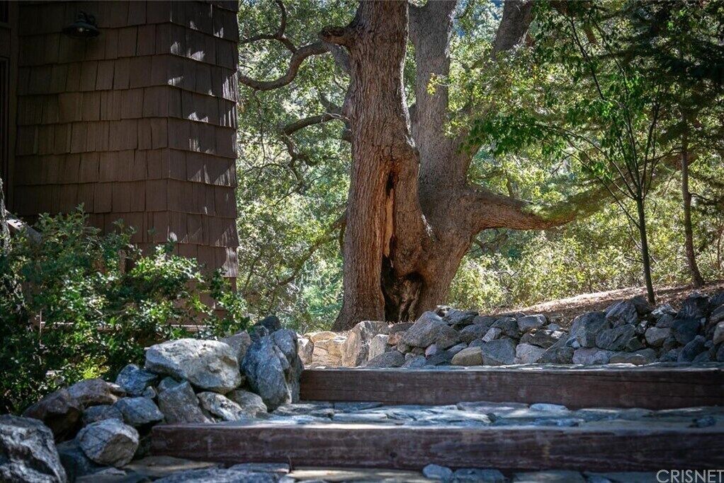 Photo of Outdoor in Pine Mountain Club