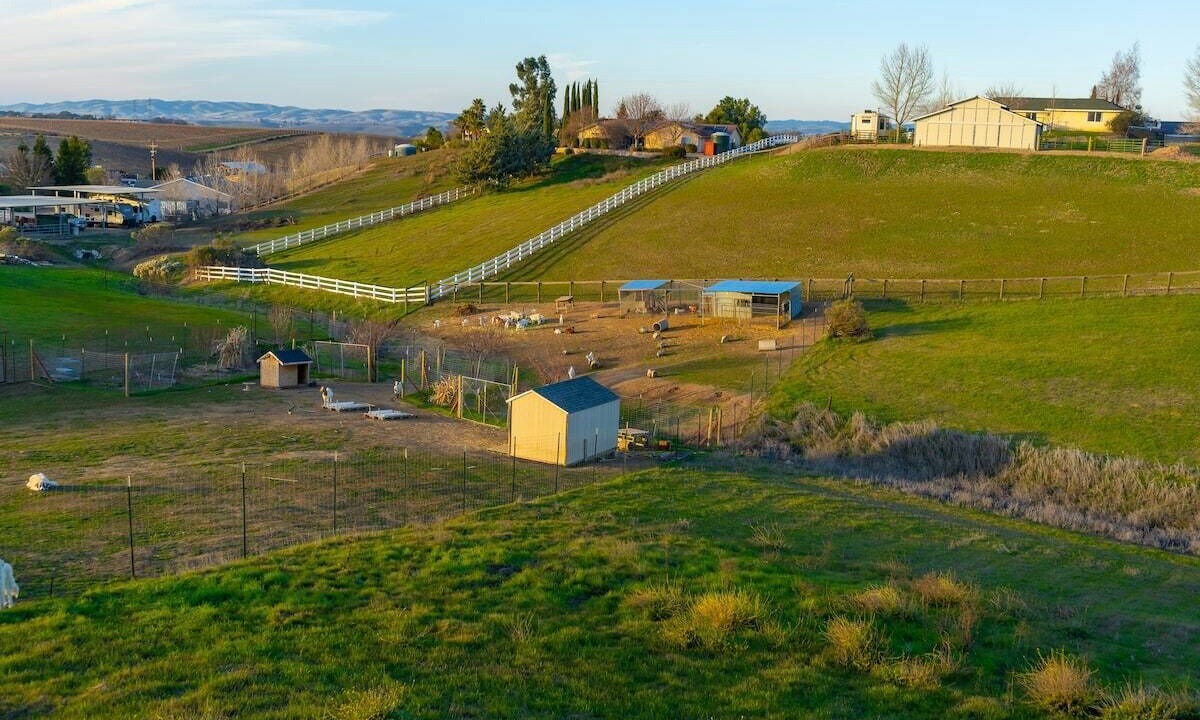 Photo of Outdoor in Paso Robles