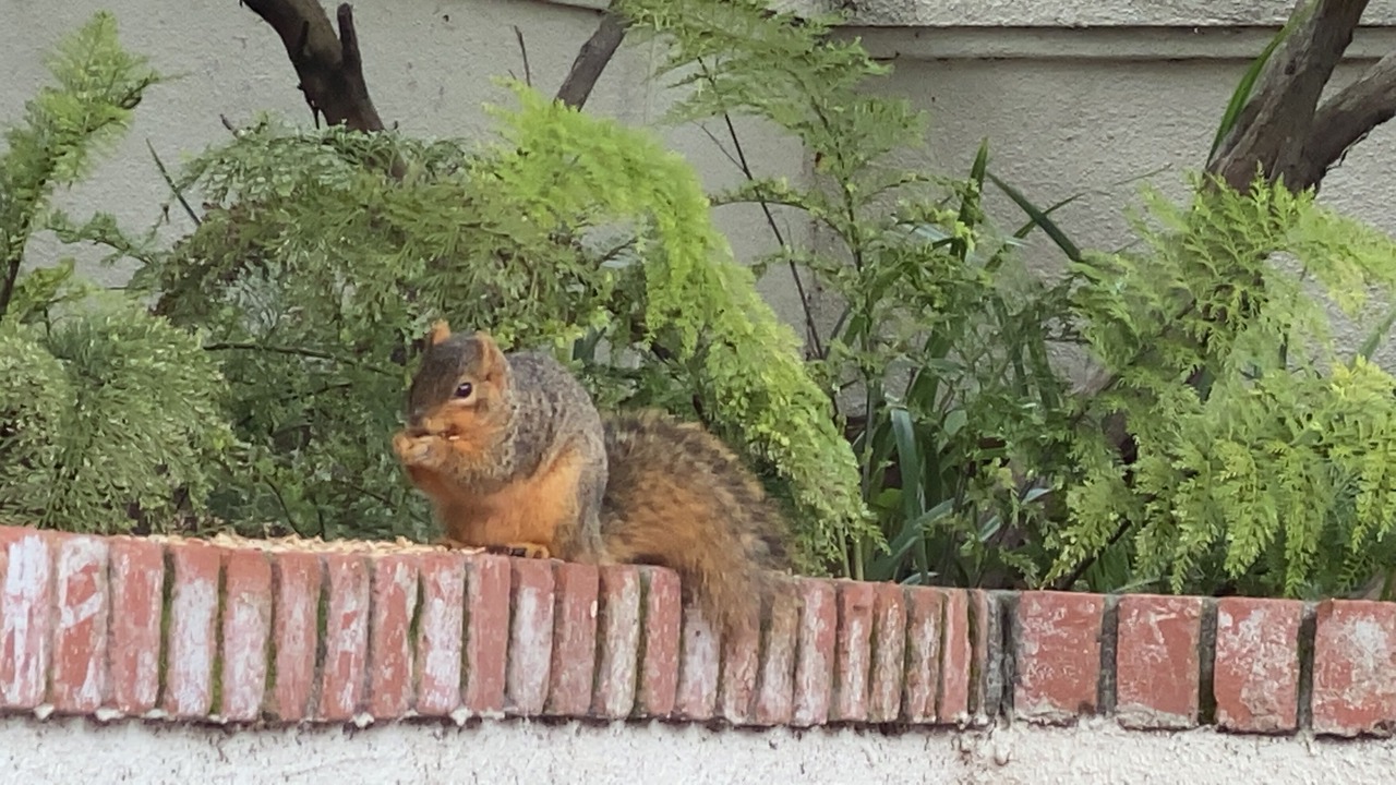 Photo of Outdoor in San Rafael