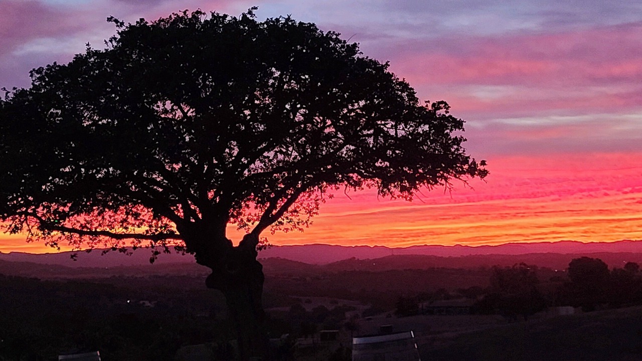Photo of Others in Paso Robles