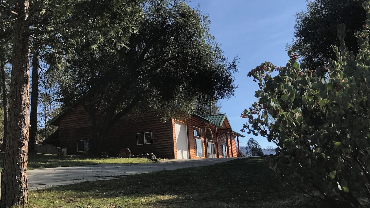 Photo of Outdoor in North Fork