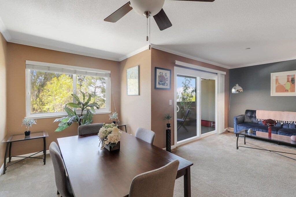 Photo of Livingroom in San Bruno