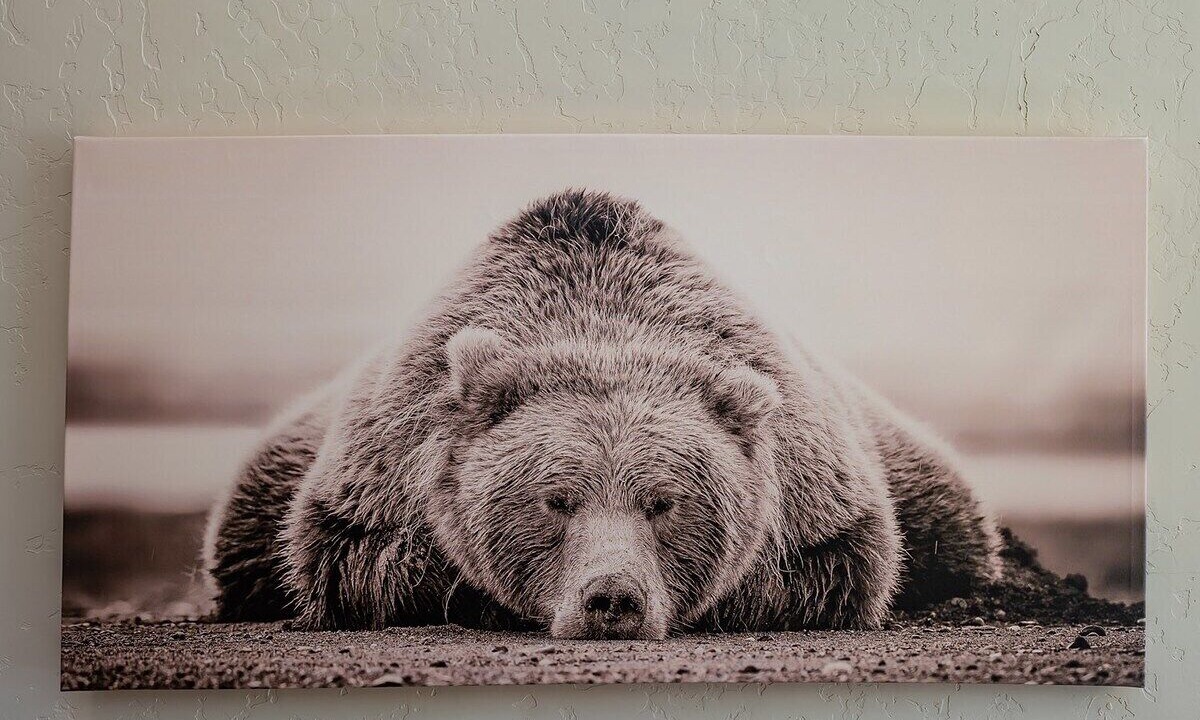 Photo of Others in Shaver Lake
