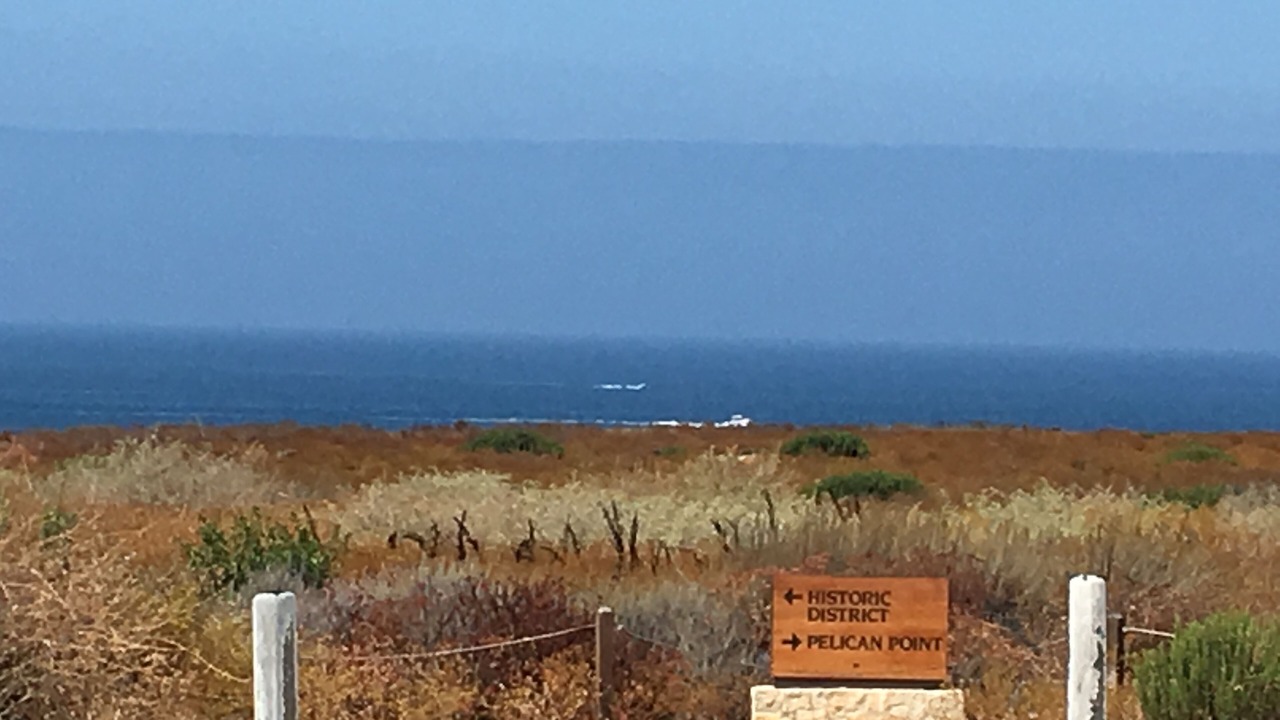 Photo of Others in Newport Coast