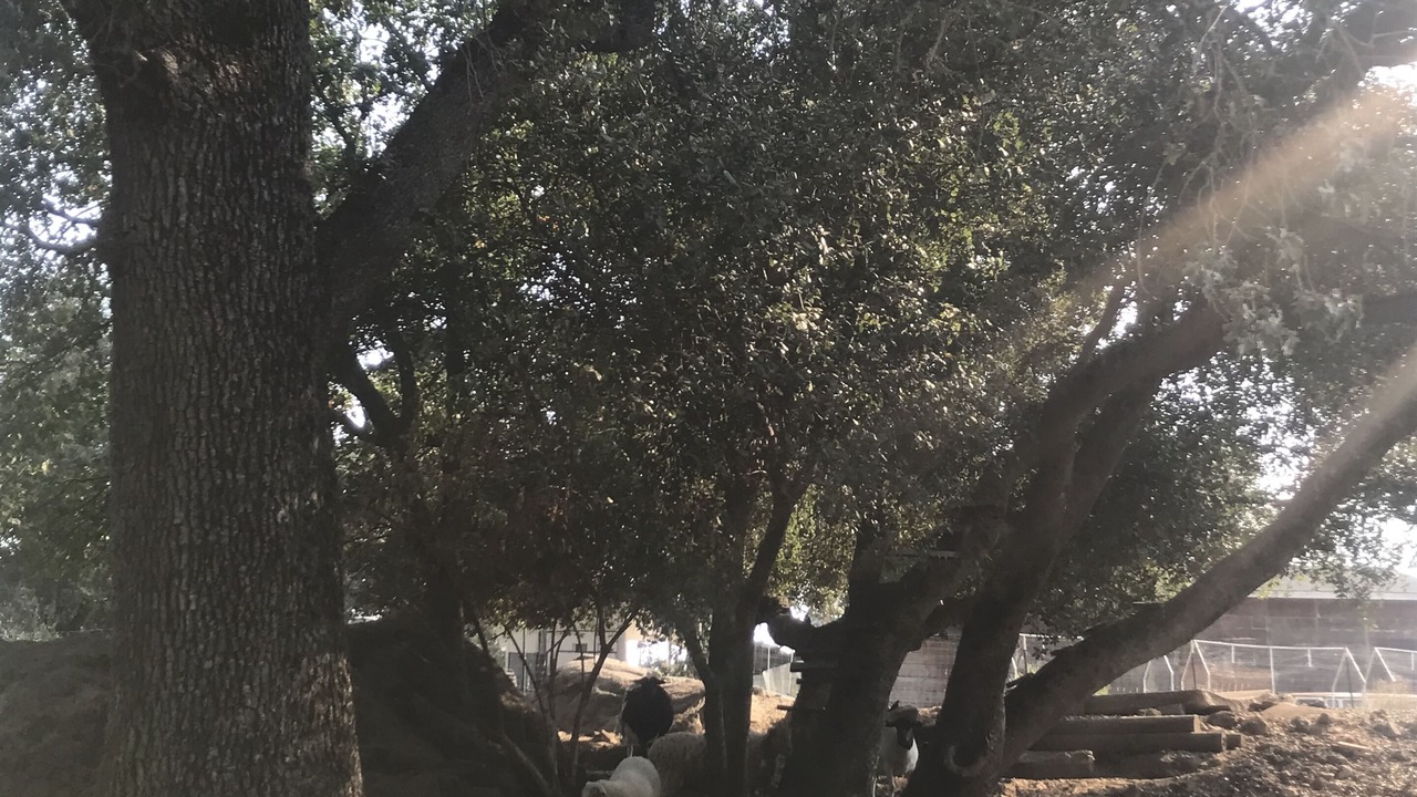 Photo of Outdoor in Sonora