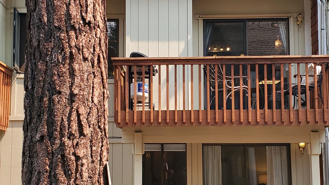 Photo of Outdoor in Incline Village