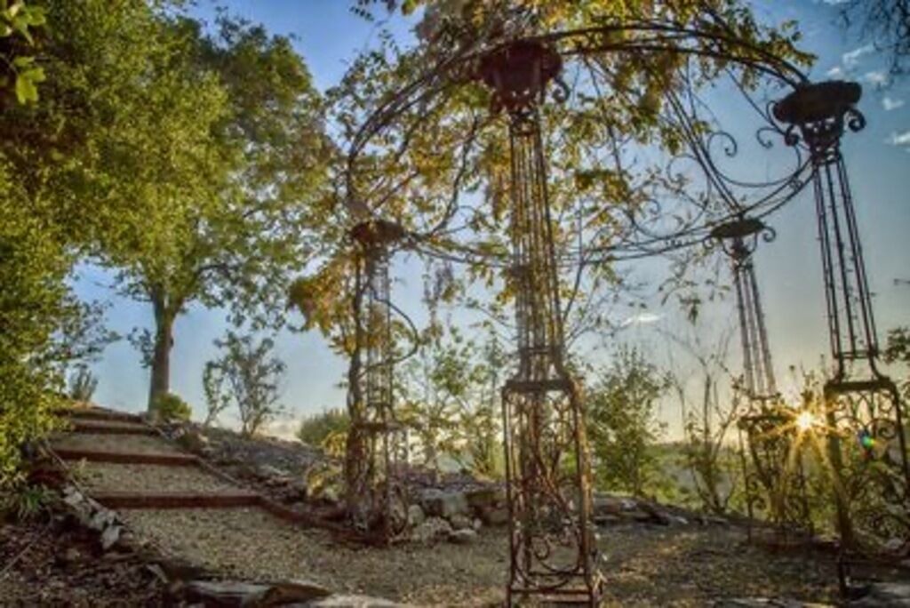 Photo of Outdoor in Angels Camp