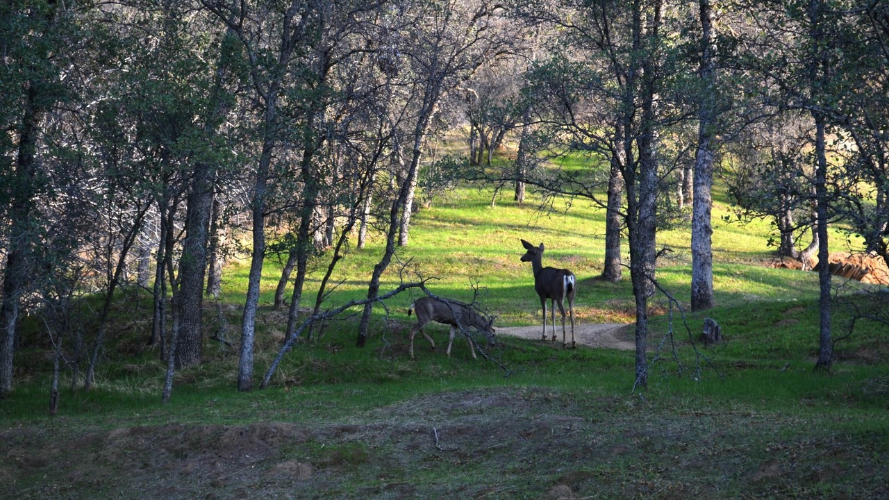 Photo of Others in Three Rivers