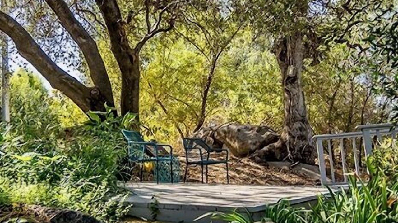 Photo of Outdoor in Three Rivers