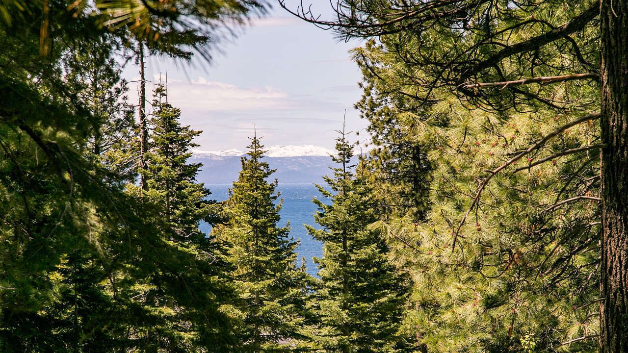 Photo of Outdoor in Incline Village