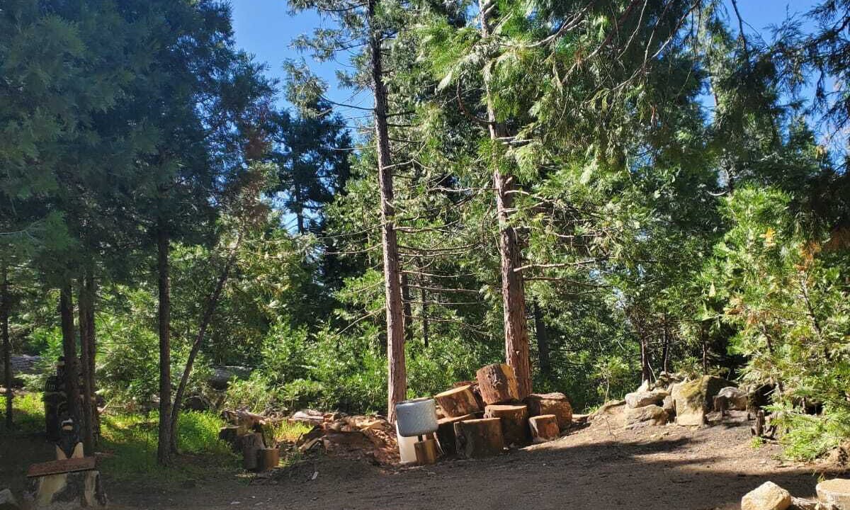 Photo of Outdoor in North Fork