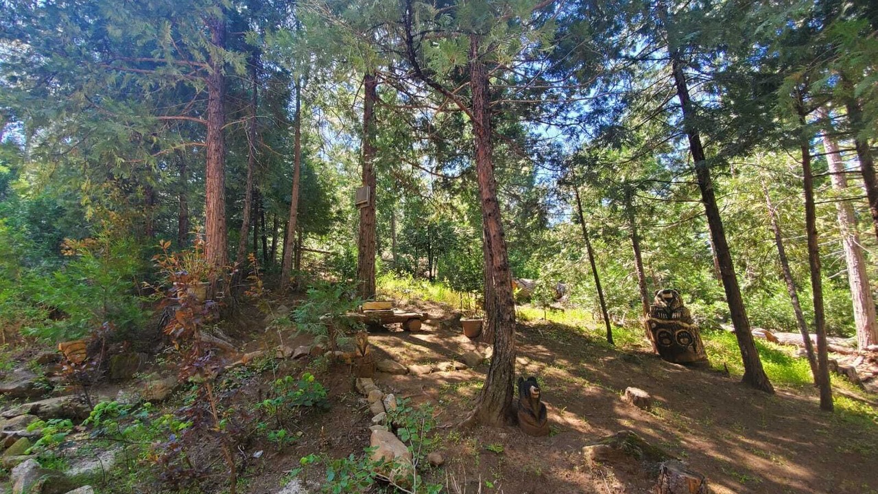 Photo of Outdoor in North Fork