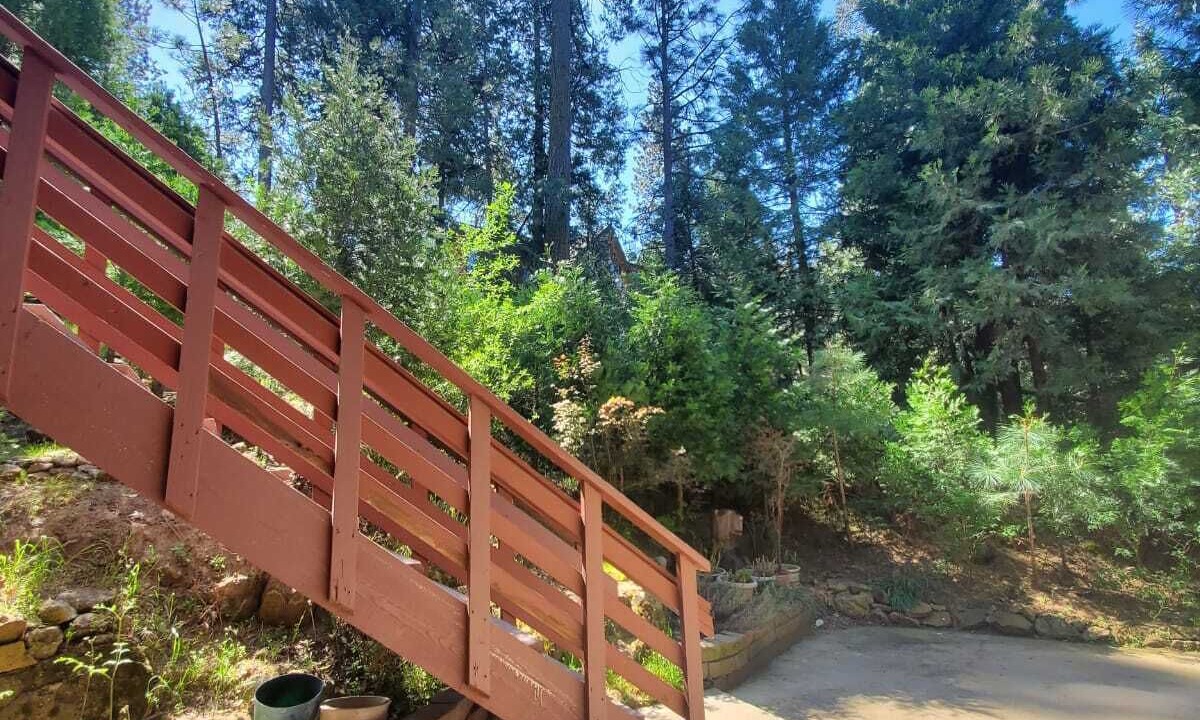 Photo of Outdoor in North Fork