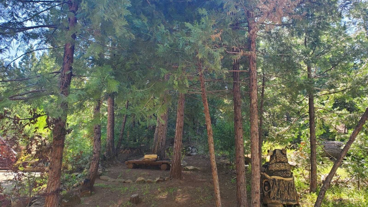 Photo of Outdoor in North Fork
