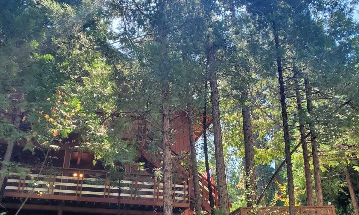 Photo of Outdoor in North Fork