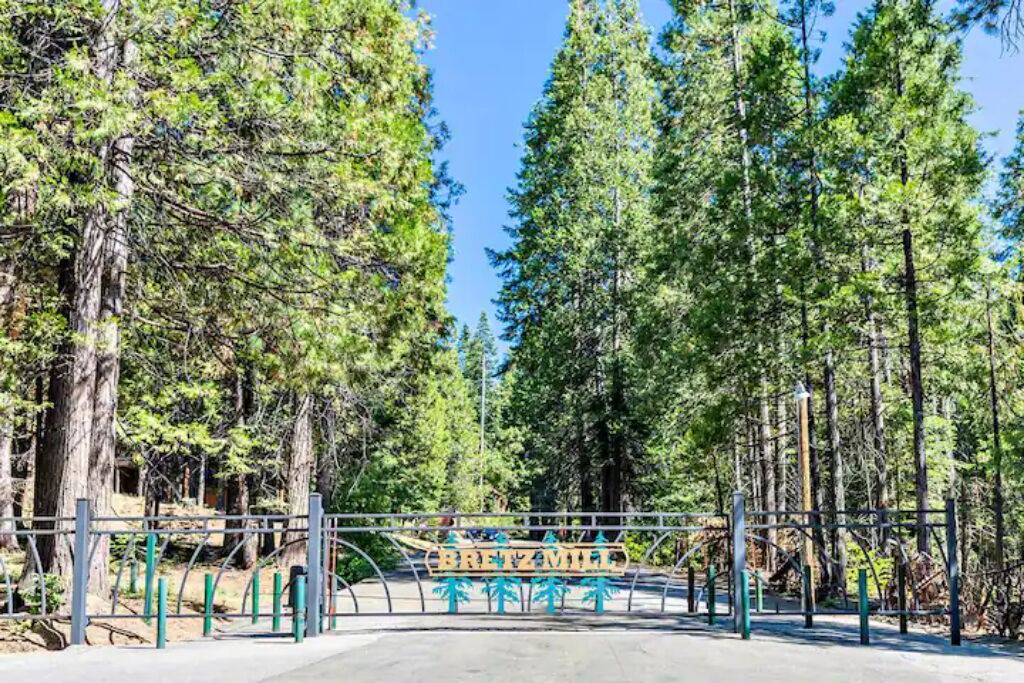 Photo of Outdoor in Shaver Lake