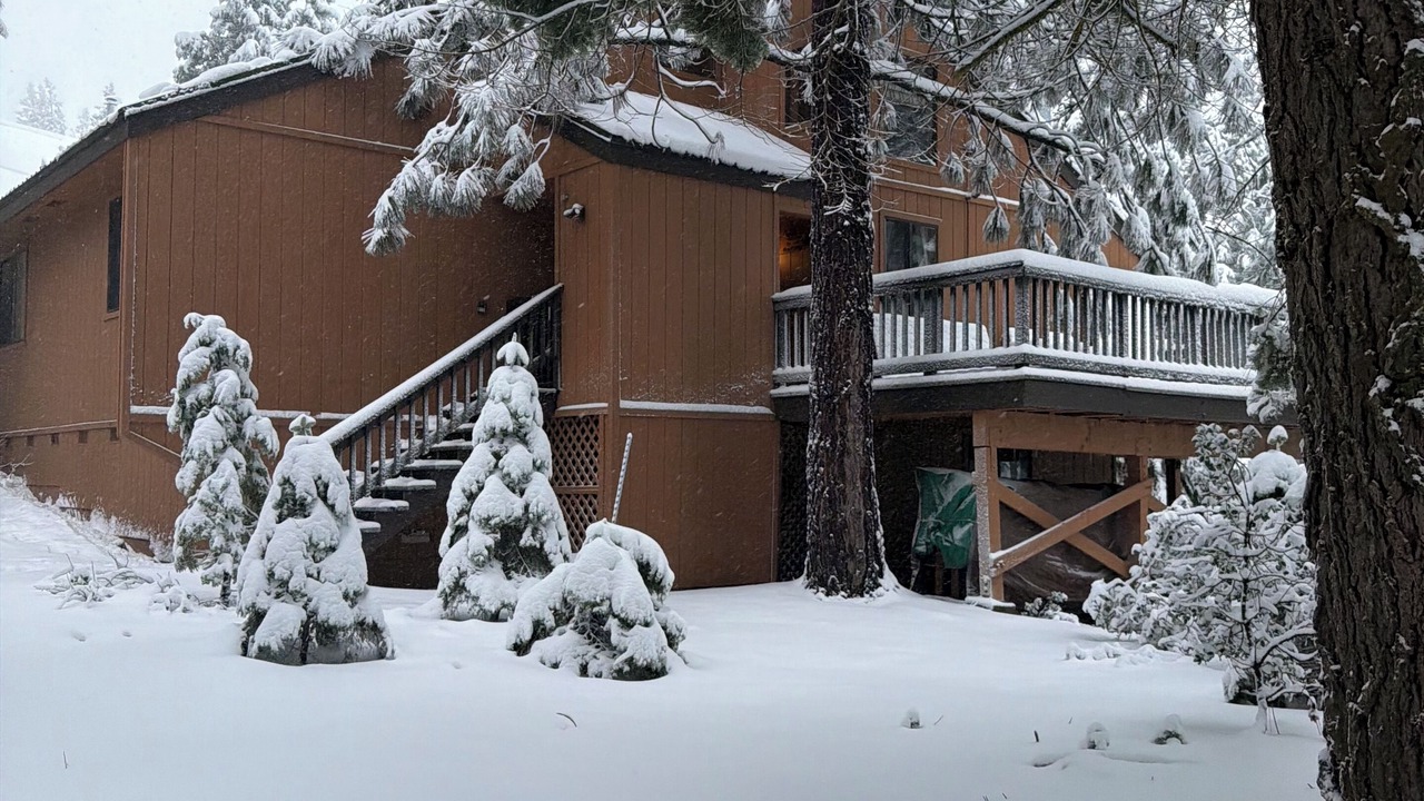 Photo of Outdoor in Shaver Lake